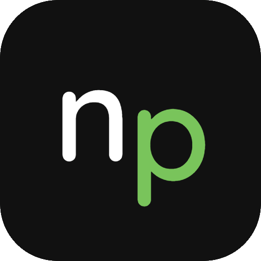 NetPing.it
